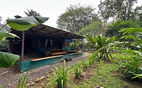 Mono Azul Cahuita
